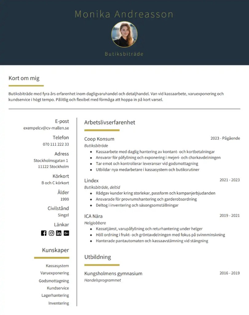 CV-mall Bryssel – Layout med två kolumner och fetstilt rubrikblock