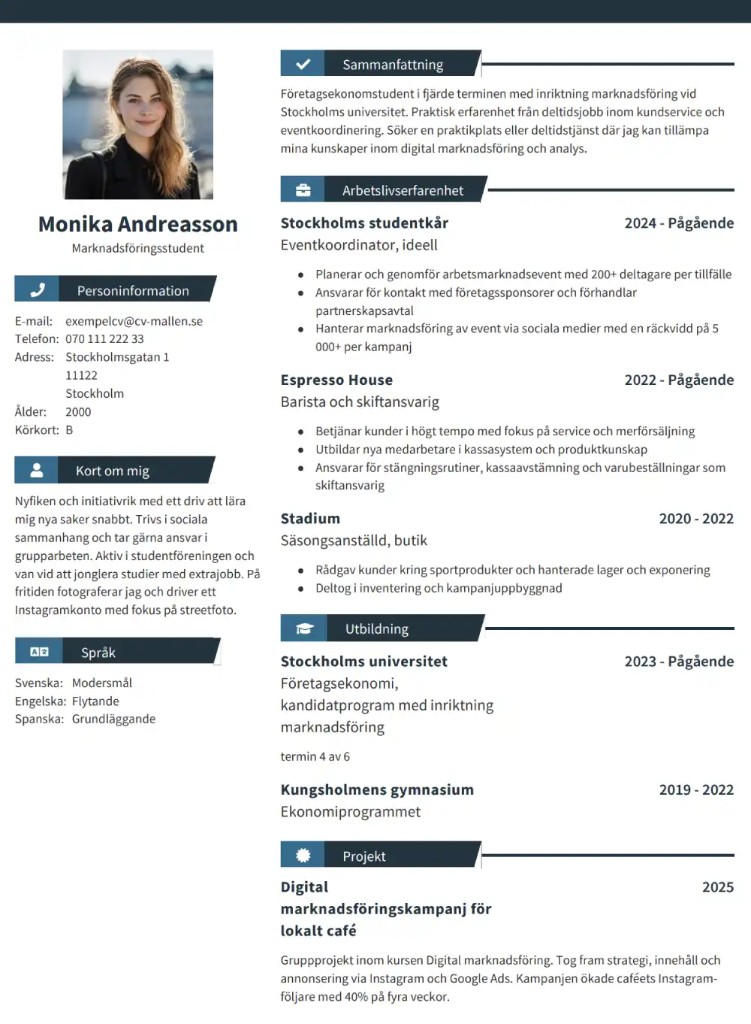 CV-mall Dublin – Layout med två kolumner med rubriker för ikonavsnitt