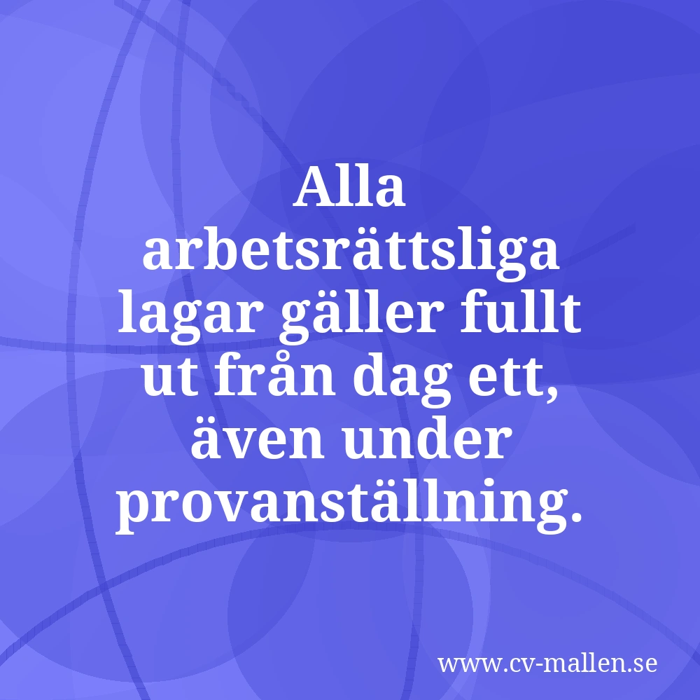 Alla arbetsrättsliga lagar gäller fullt ut från dag ett, även under provanställning.