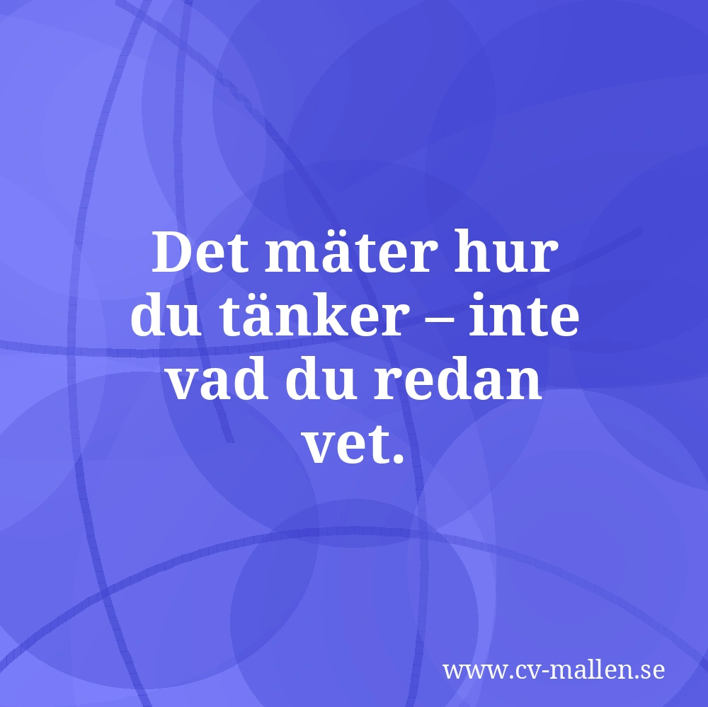 Logiktest vid arbetsintervju – så fungerar testerna och så övar du effektivt