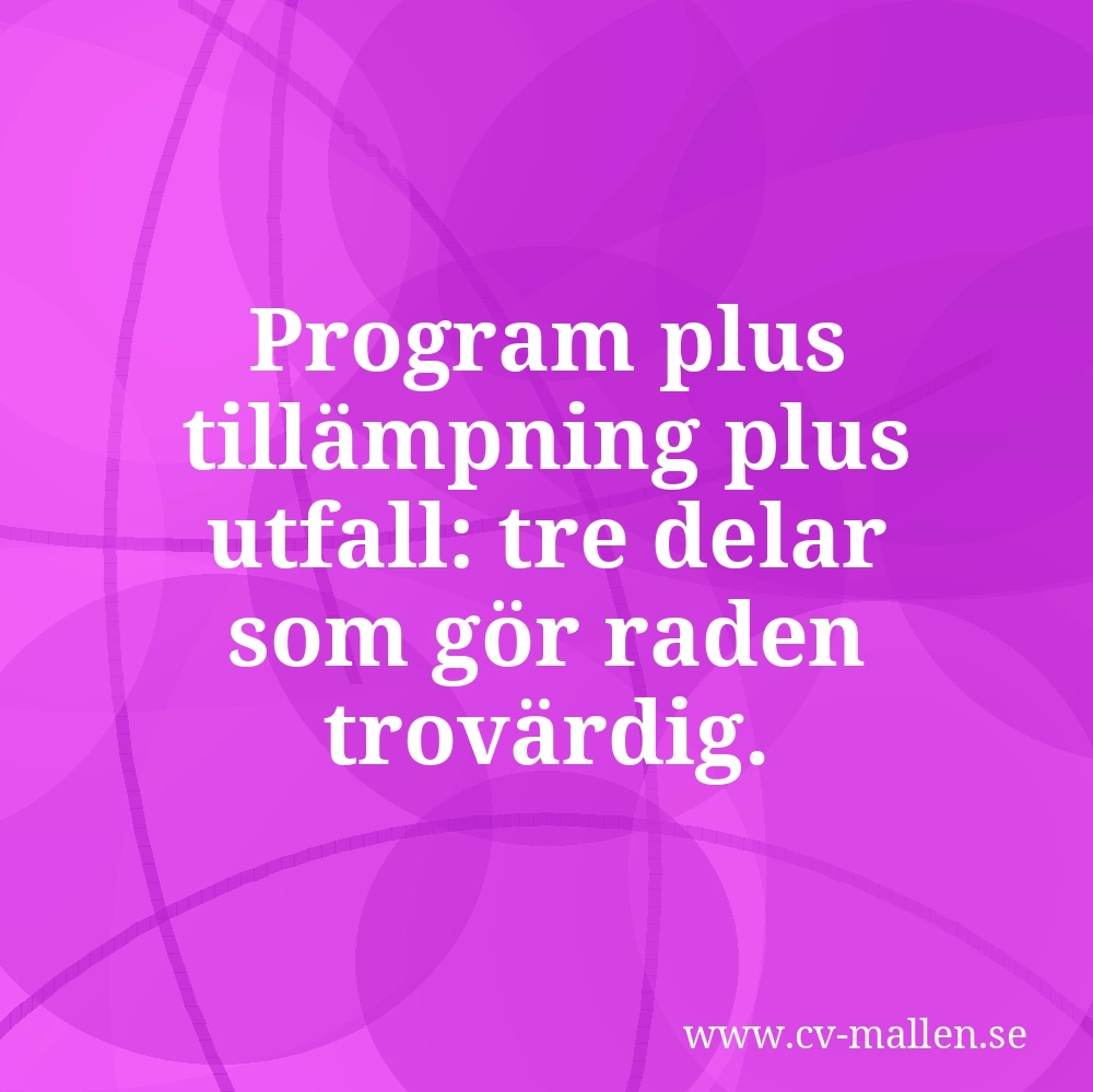 Program plus tillämpning plus utfall: tre delar som gör raden trovärdig.