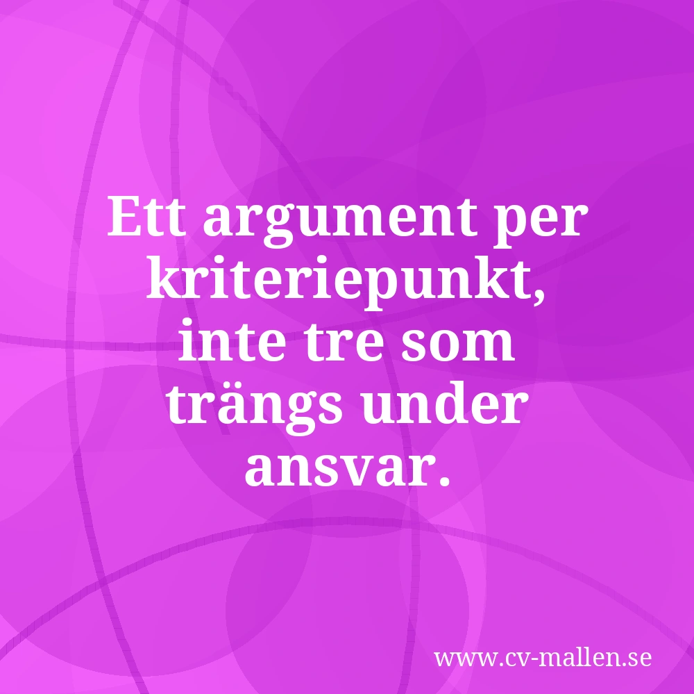 Ett argument per kriteriepunkt, inte tre som trängs under ansvar.